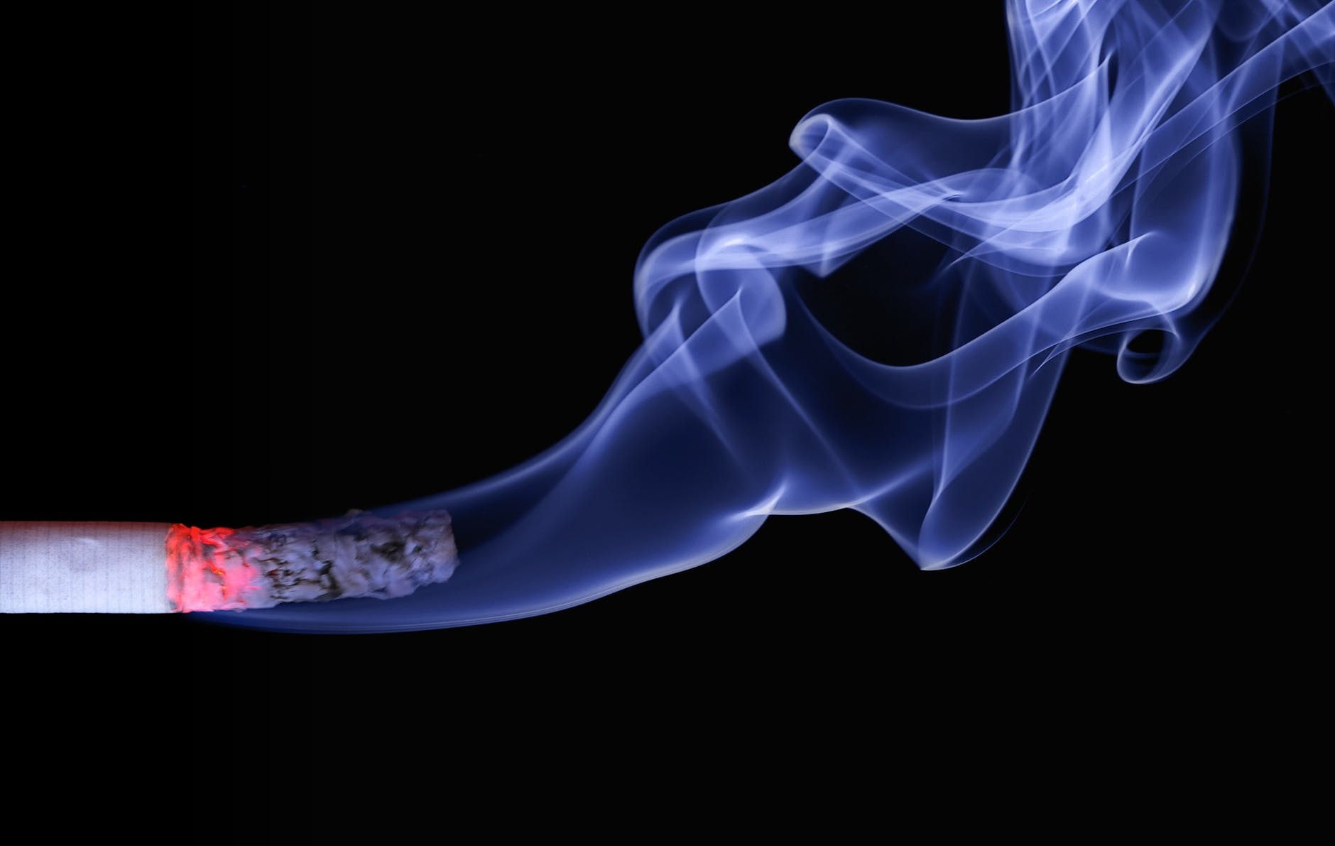 close up photo of lighted cigarette stick